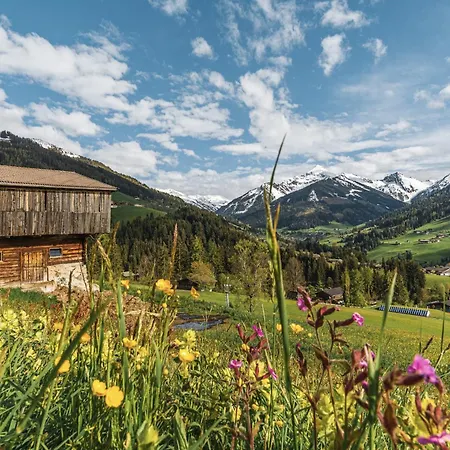 Haus Antonius With Pool & Sauna - An Alpenluxus Appartement, Tyrol *